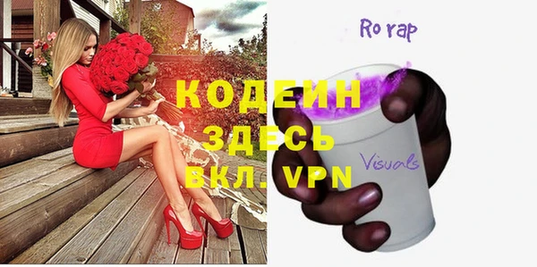 ешки Арсеньев