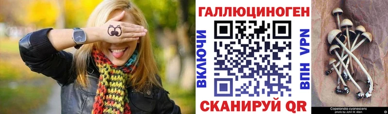MEGA зеркало  Давлеканово  Псилоцибиновые грибы мицелий 